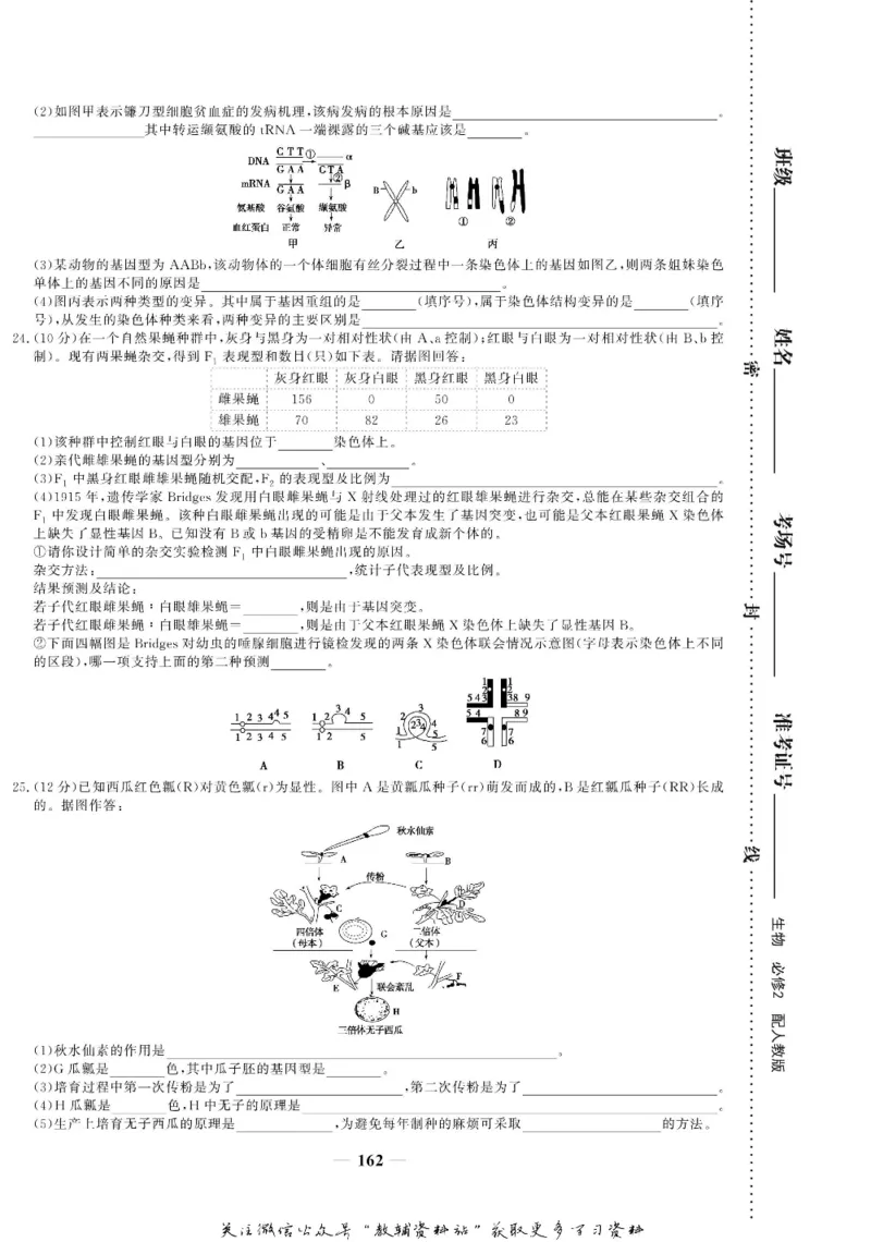 名师同步导学生物人教版必修2_名师同步导学_高中生物