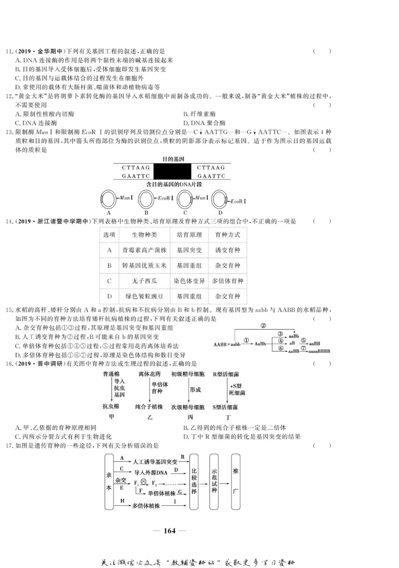 名师同步导学生物人教版必修2_名师同步导学_高中生物