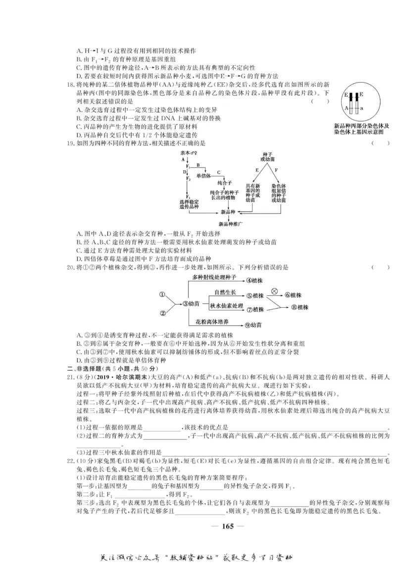 名师同步导学生物人教版必修2_名师同步导学_高中生物