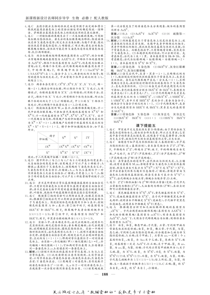 名师同步导学生物人教版必修2_名师同步导学_高中生物