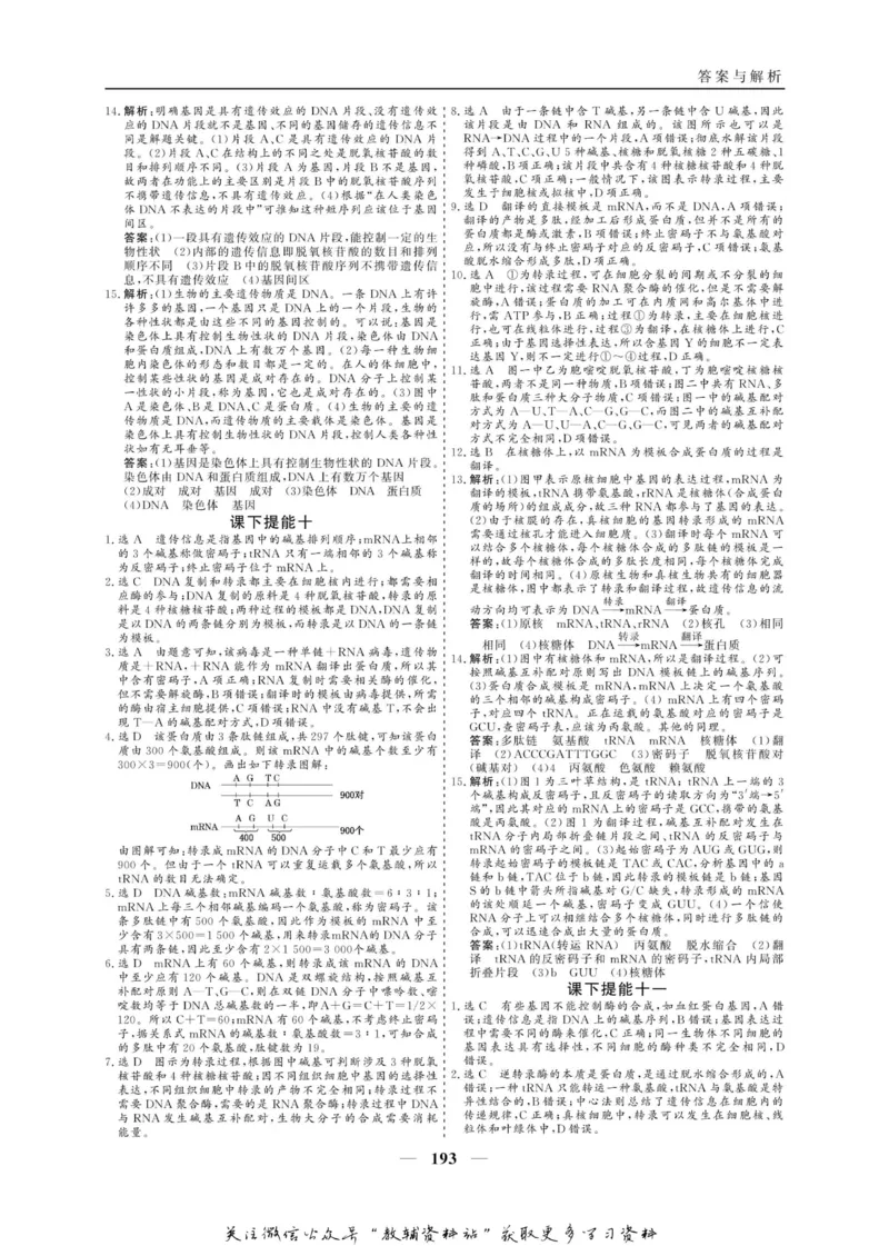 名师同步导学生物人教版必修2_名师同步导学_高中生物