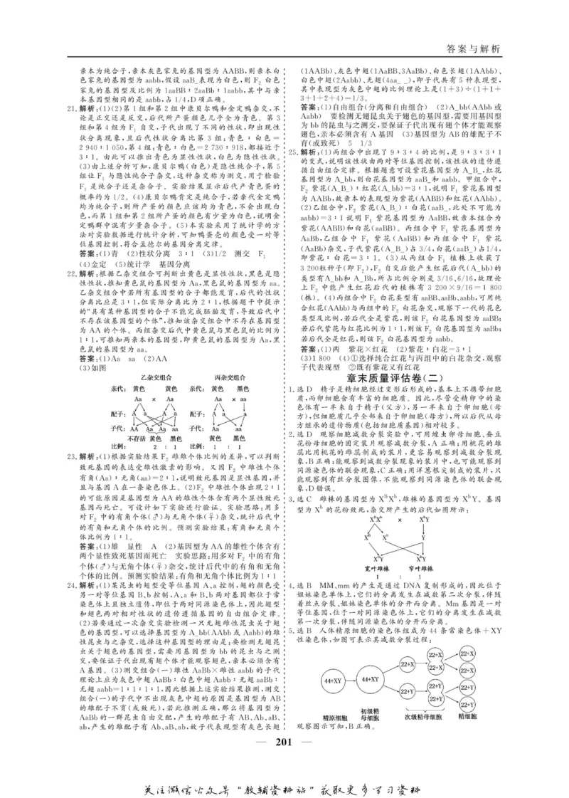 名师同步导学生物人教版必修2_名师同步导学_高中生物
