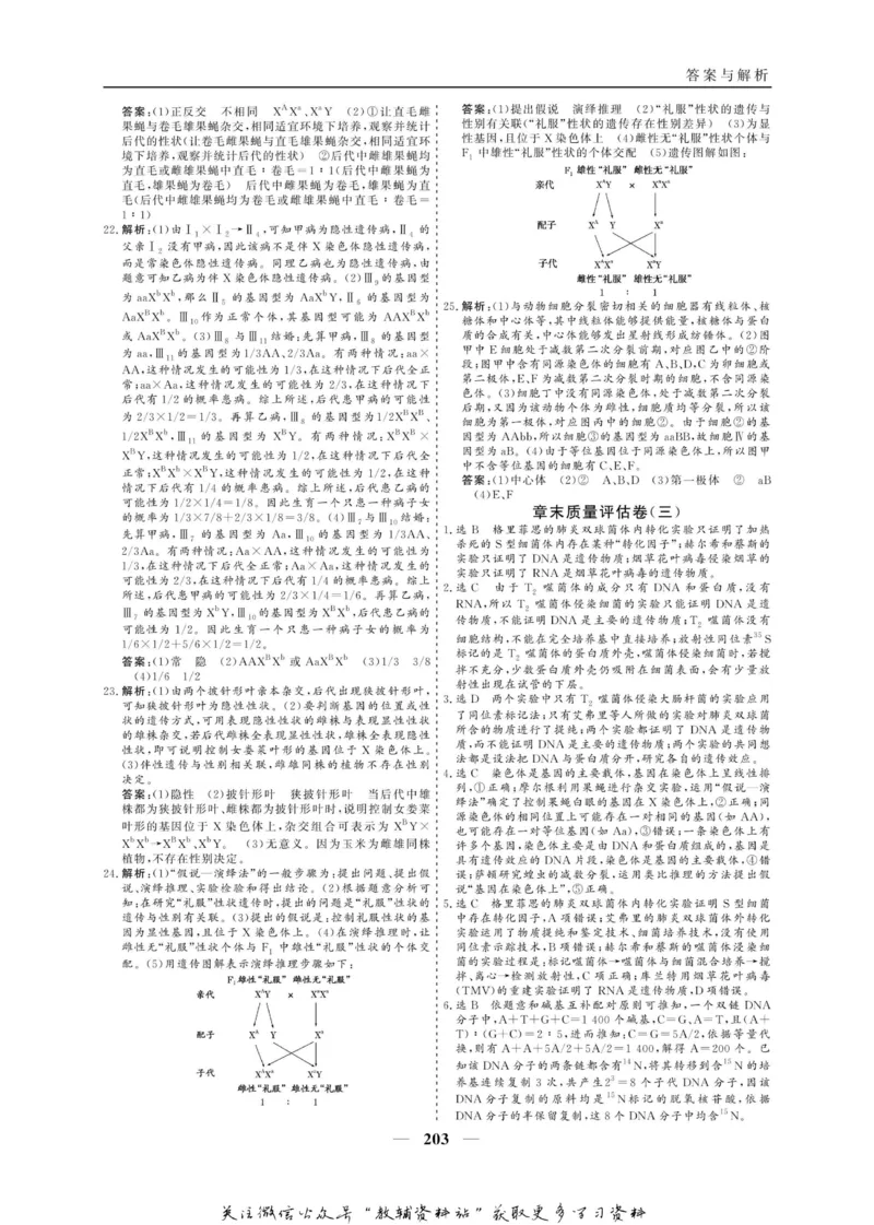 名师同步导学生物人教版必修2_名师同步导学_高中生物