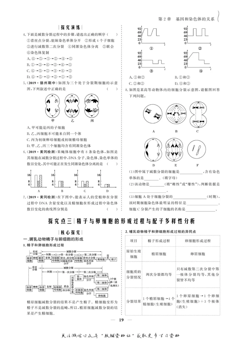 名师同步导学生物人教版必修2_名师同步导学_高中生物
