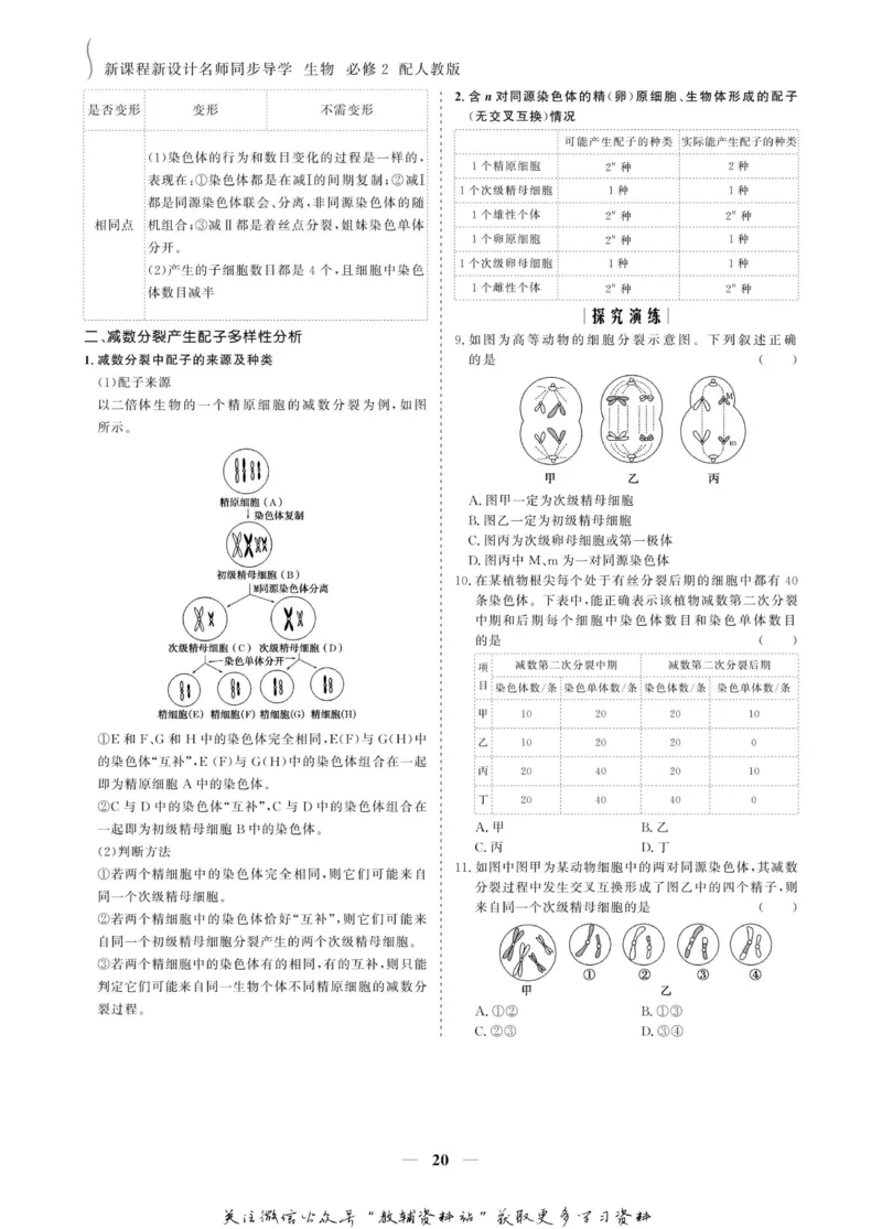 名师同步导学生物人教版必修2_名师同步导学_高中生物