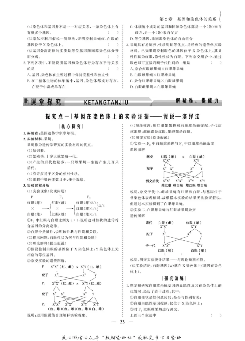 名师同步导学生物人教版必修2_名师同步导学_高中生物