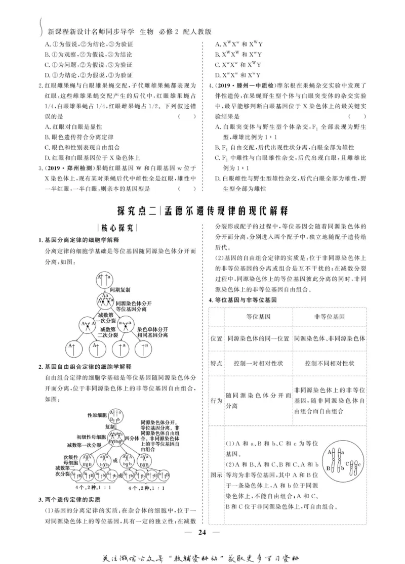 名师同步导学生物人教版必修2_名师同步导学_高中生物