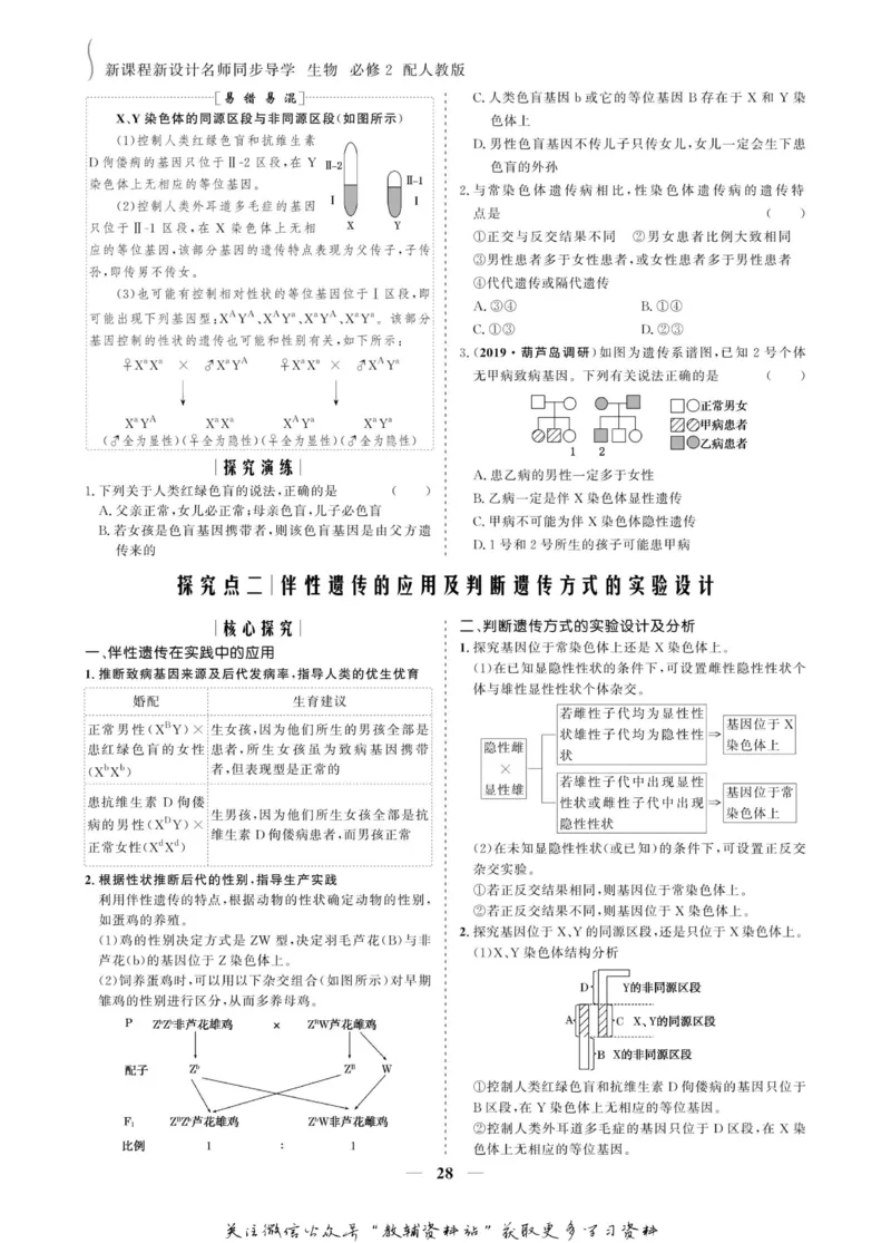 名师同步导学生物人教版必修2_名师同步导学_高中生物