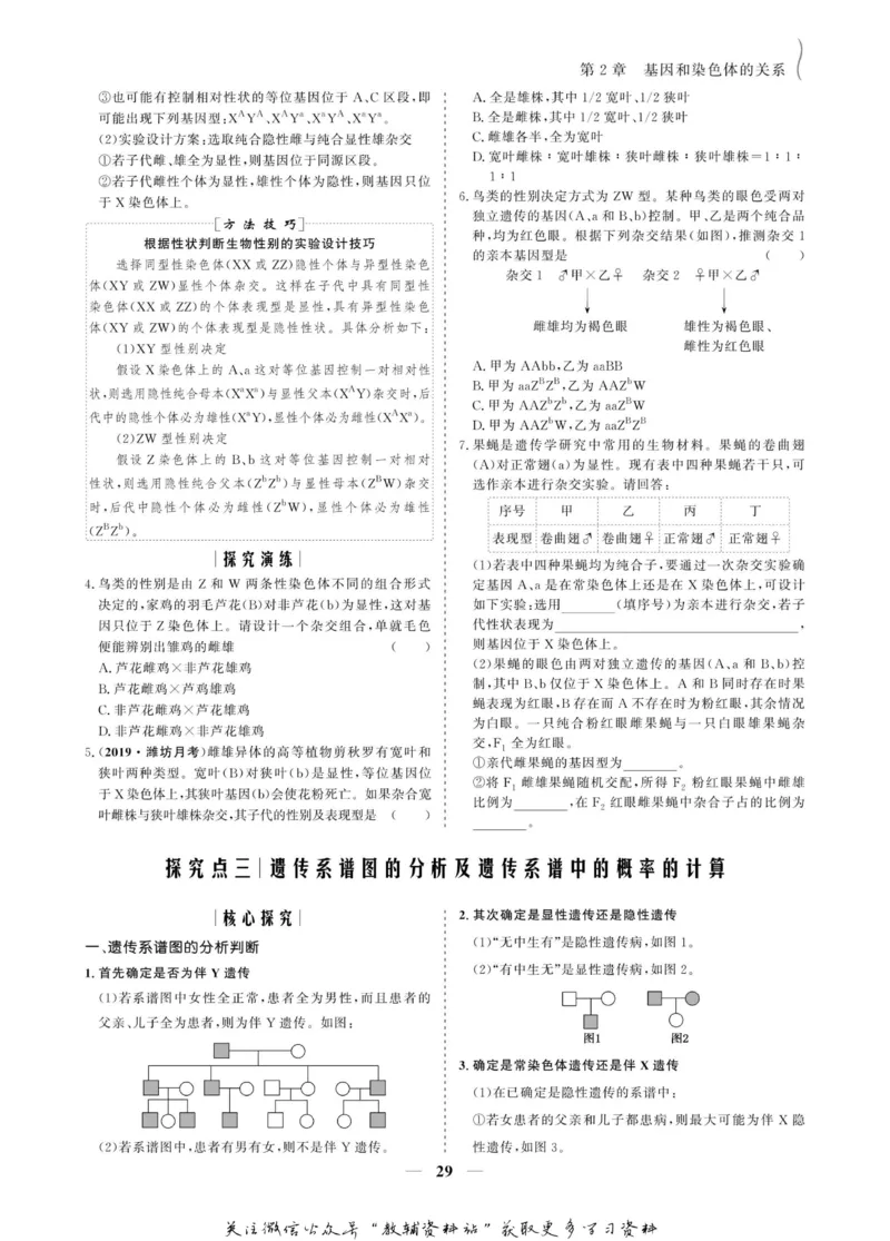 名师同步导学生物人教版必修2_名师同步导学_高中生物