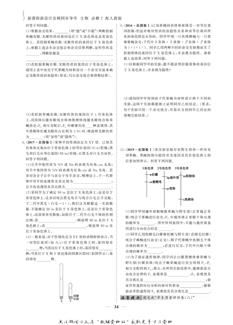 名师同步导学生物人教版必修2_名师同步导学_高中生物