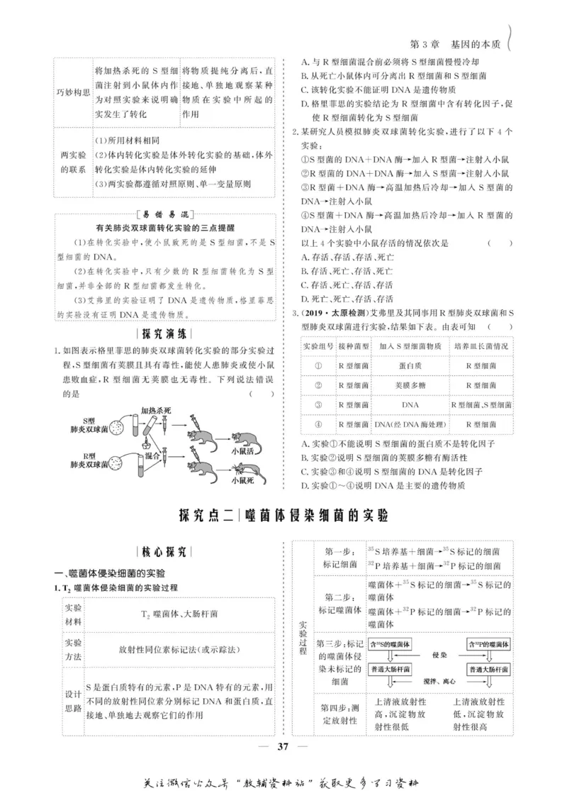 名师同步导学生物人教版必修2_名师同步导学_高中生物