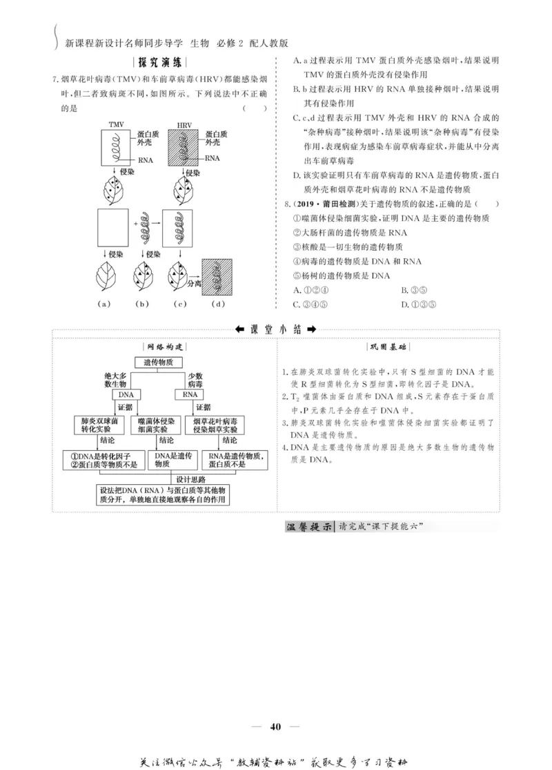 名师同步导学生物人教版必修2_名师同步导学_高中生物