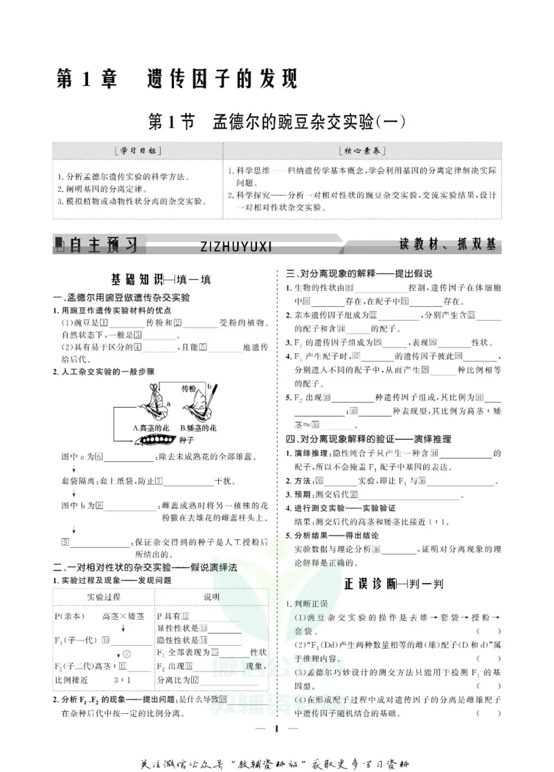 名师同步导学生物人教版必修2_名师同步导学_高中生物
