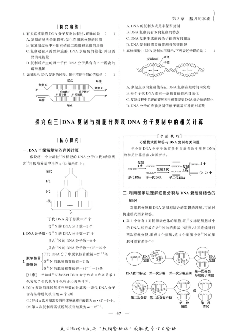名师同步导学生物人教版必修2_名师同步导学_高中生物