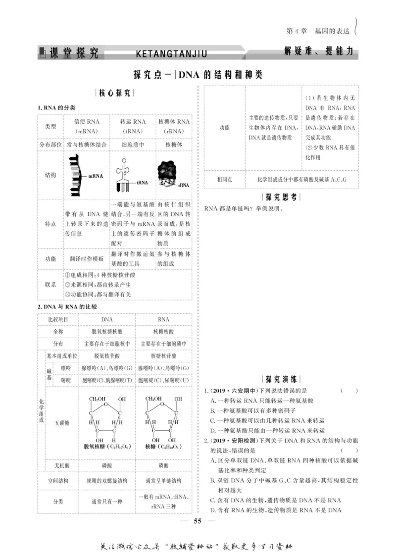 名师同步导学生物人教版必修2_名师同步导学_高中生物