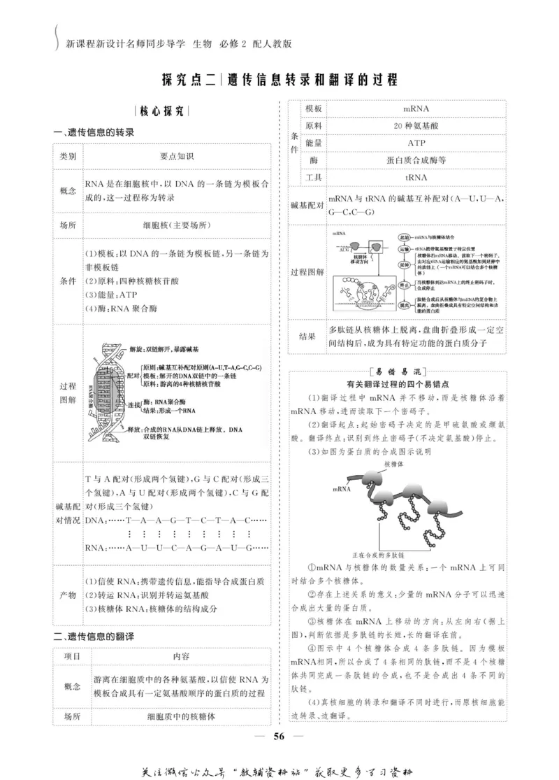 名师同步导学生物人教版必修2_名师同步导学_高中生物