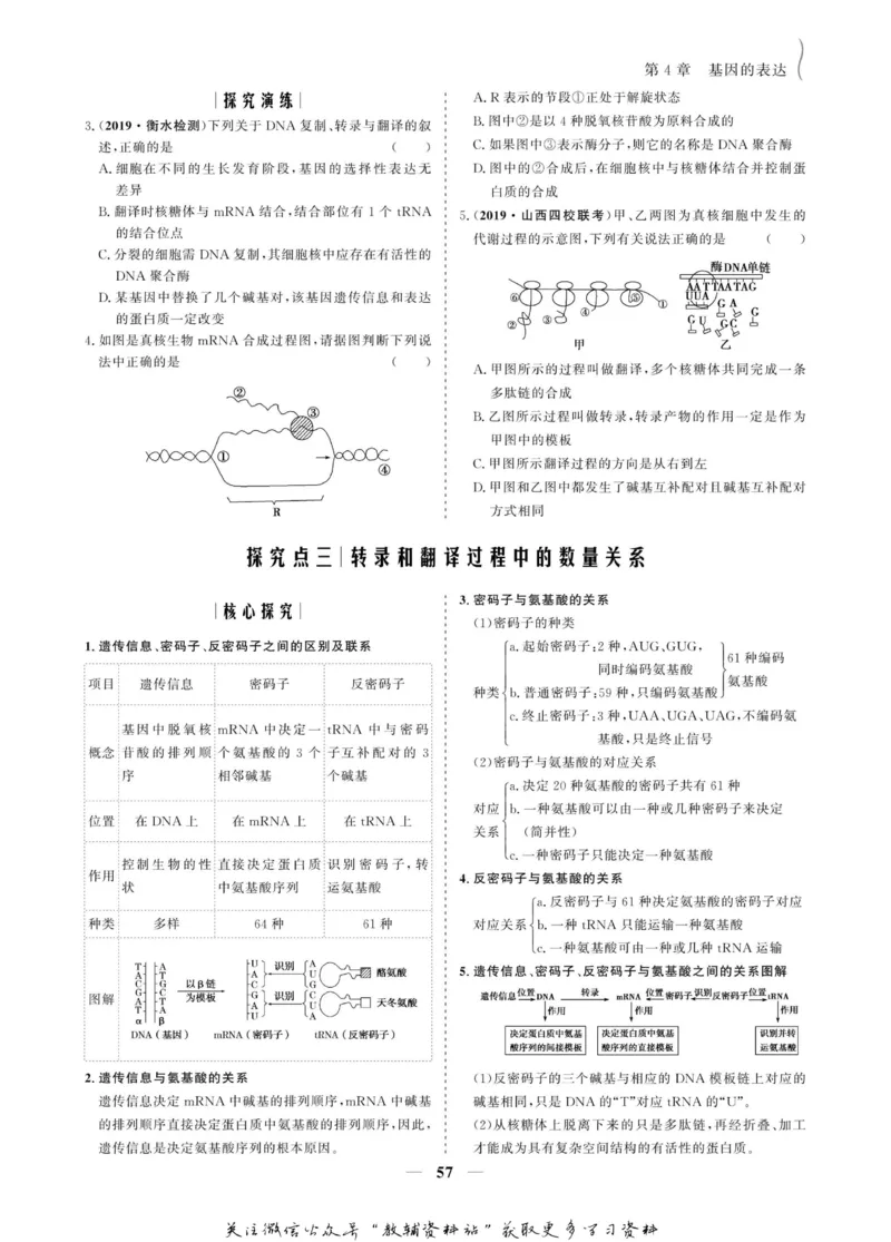 名师同步导学生物人教版必修2_名师同步导学_高中生物