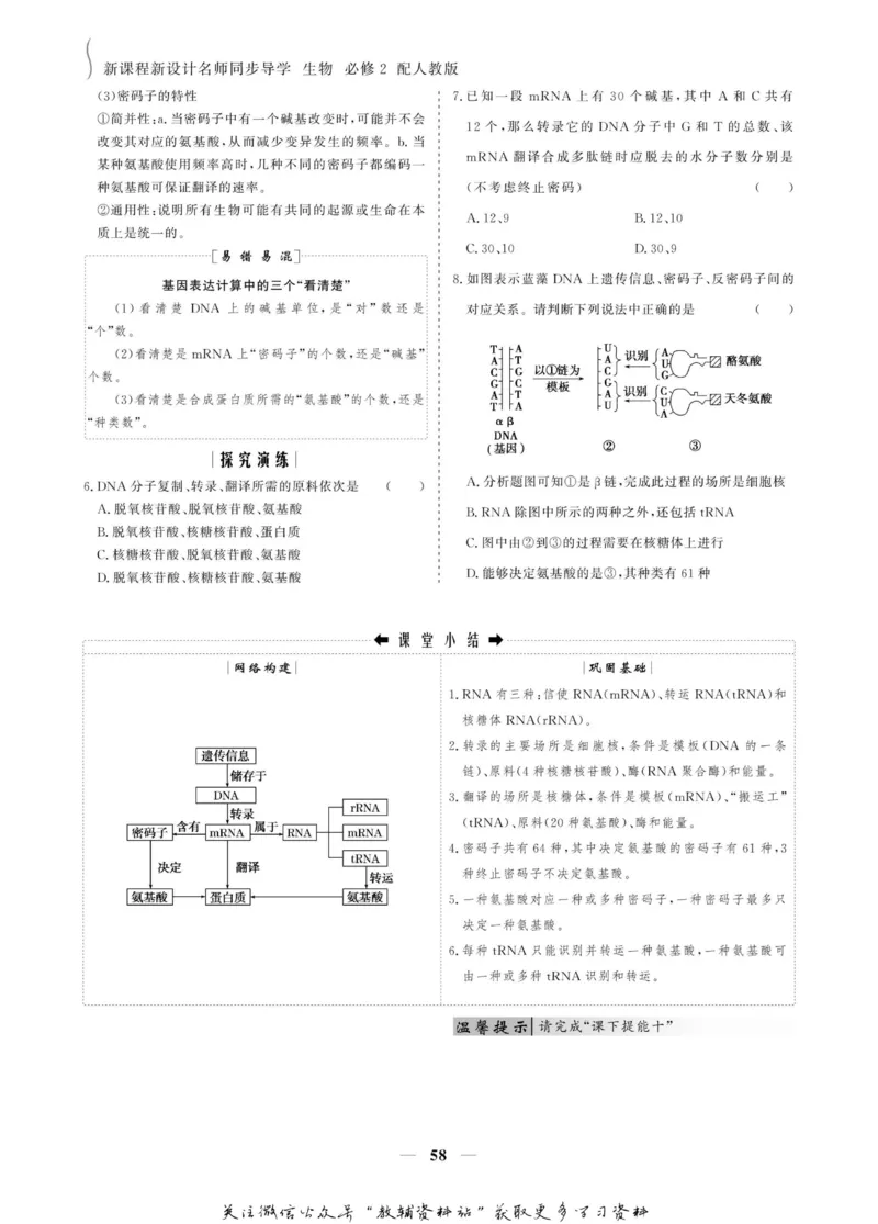 名师同步导学生物人教版必修2_名师同步导学_高中生物