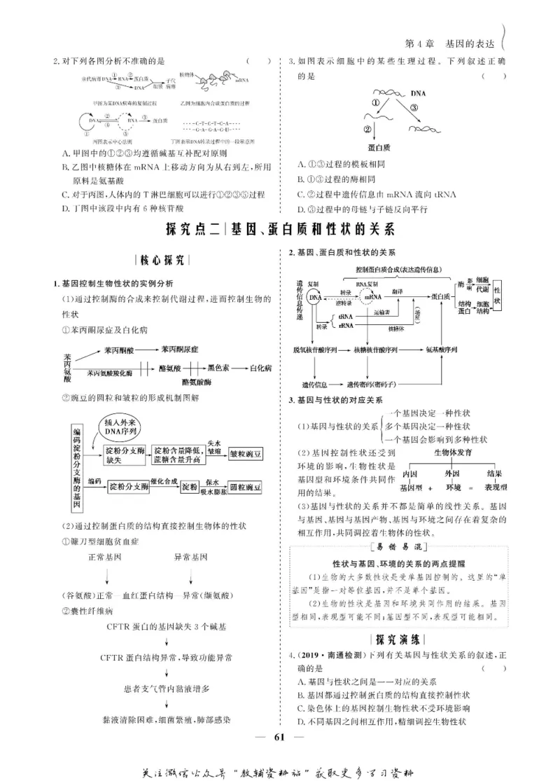 名师同步导学生物人教版必修2_名师同步导学_高中生物