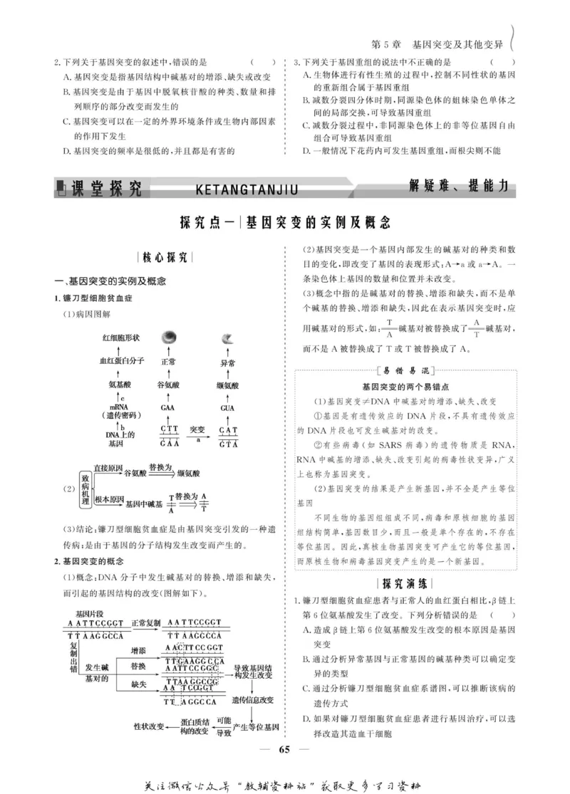 名师同步导学生物人教版必修2_名师同步导学_高中生物