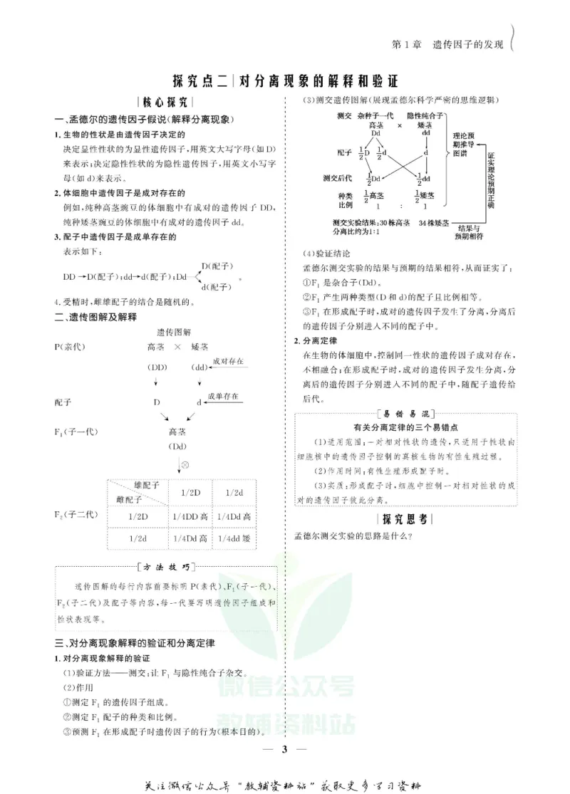名师同步导学生物人教版必修2_名师同步导学_高中生物