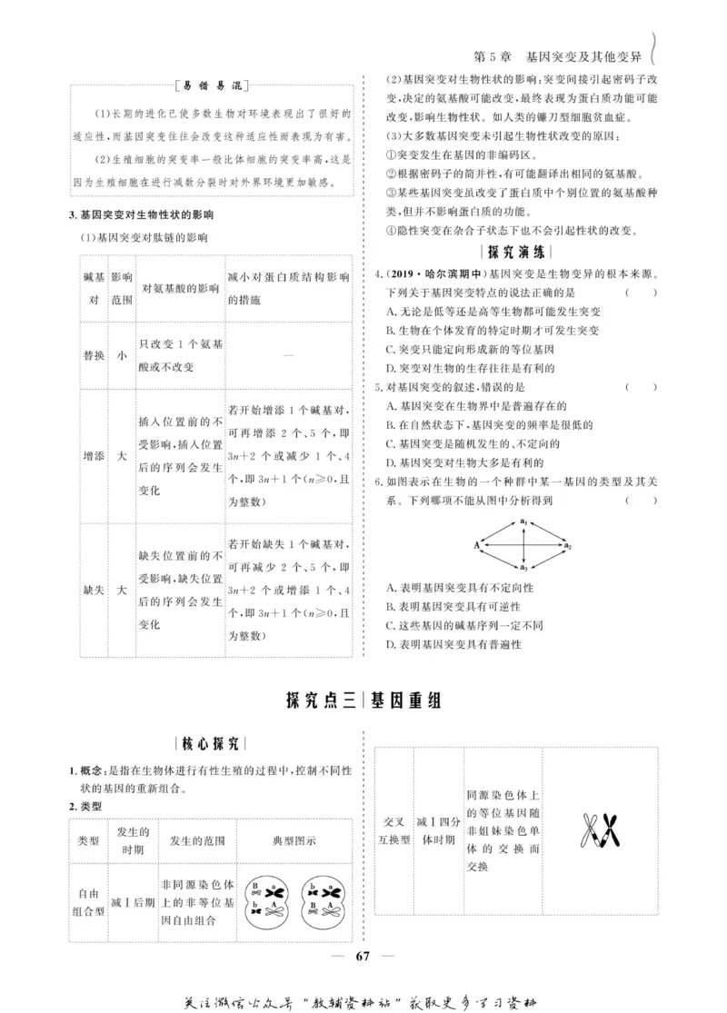 名师同步导学生物人教版必修2_名师同步导学_高中生物