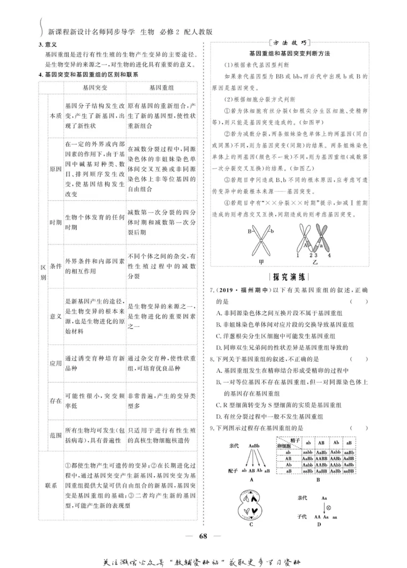 名师同步导学生物人教版必修2_名师同步导学_高中生物