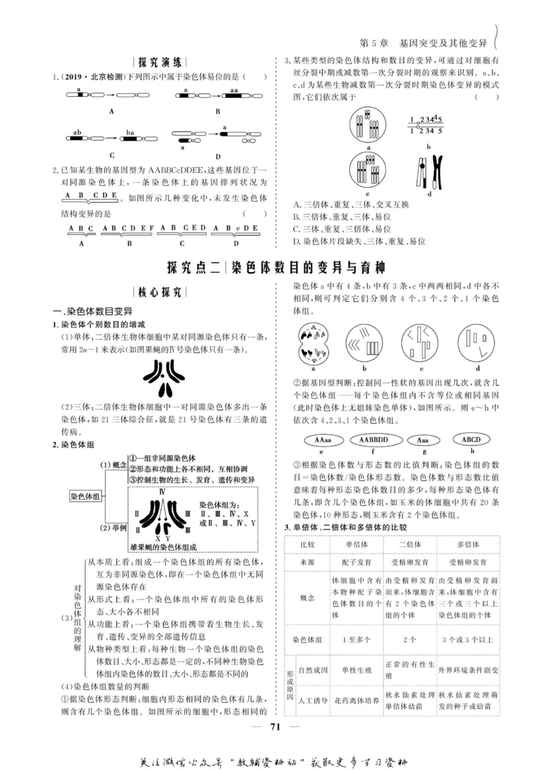 名师同步导学生物人教版必修2_名师同步导学_高中生物