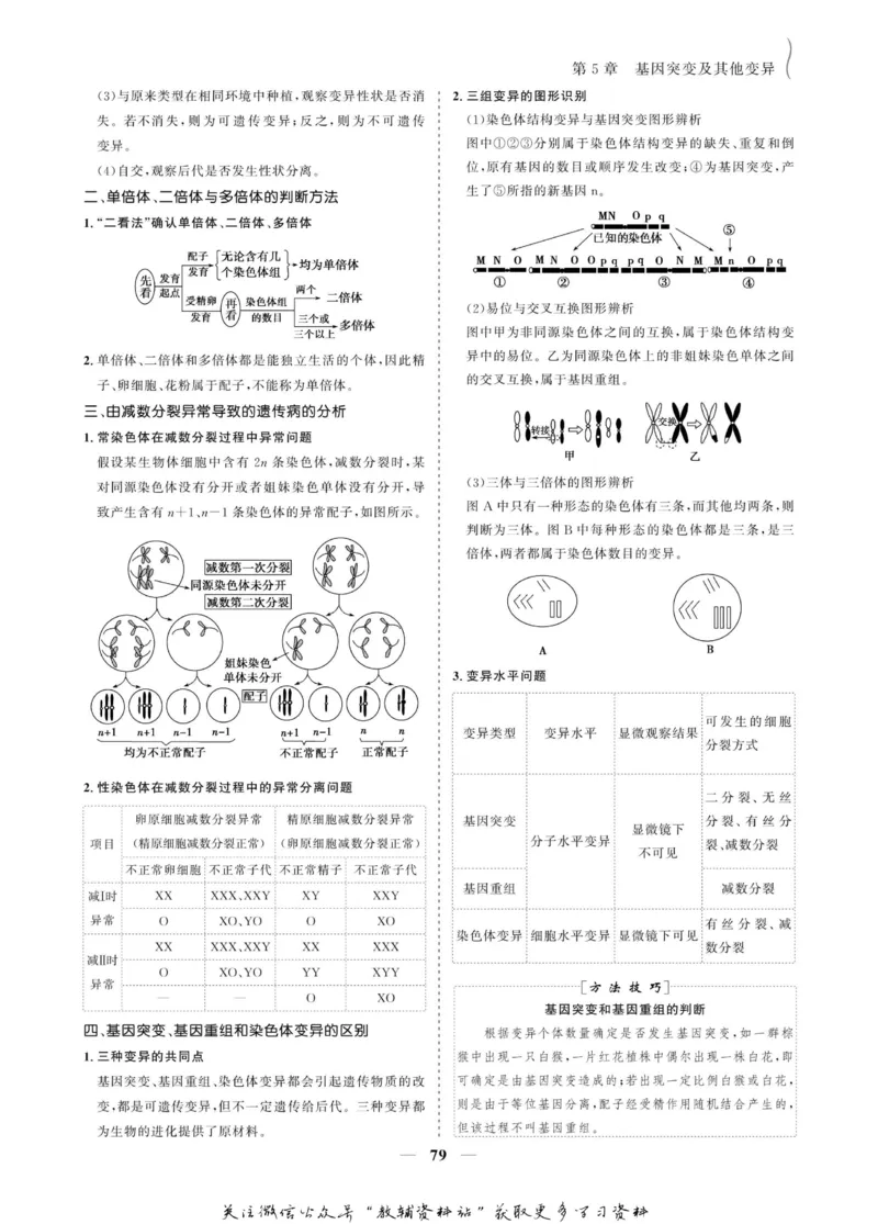 名师同步导学生物人教版必修2_名师同步导学_高中生物