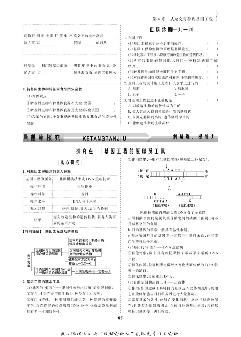 名师同步导学生物人教版必修2_名师同步导学_高中生物