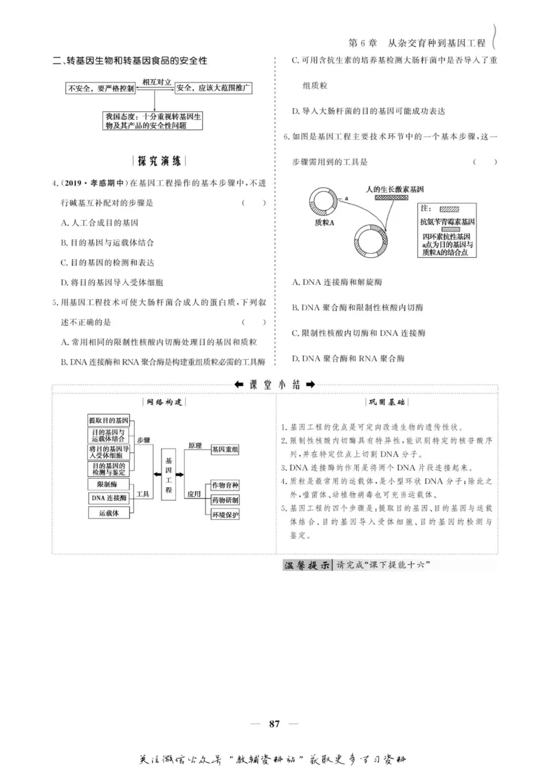 名师同步导学生物人教版必修2_名师同步导学_高中生物