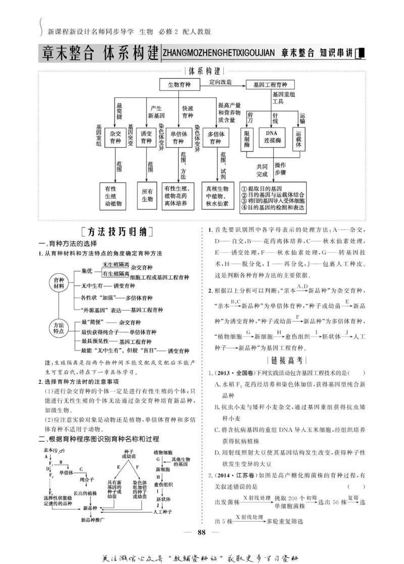 名师同步导学生物人教版必修2_名师同步导学_高中生物