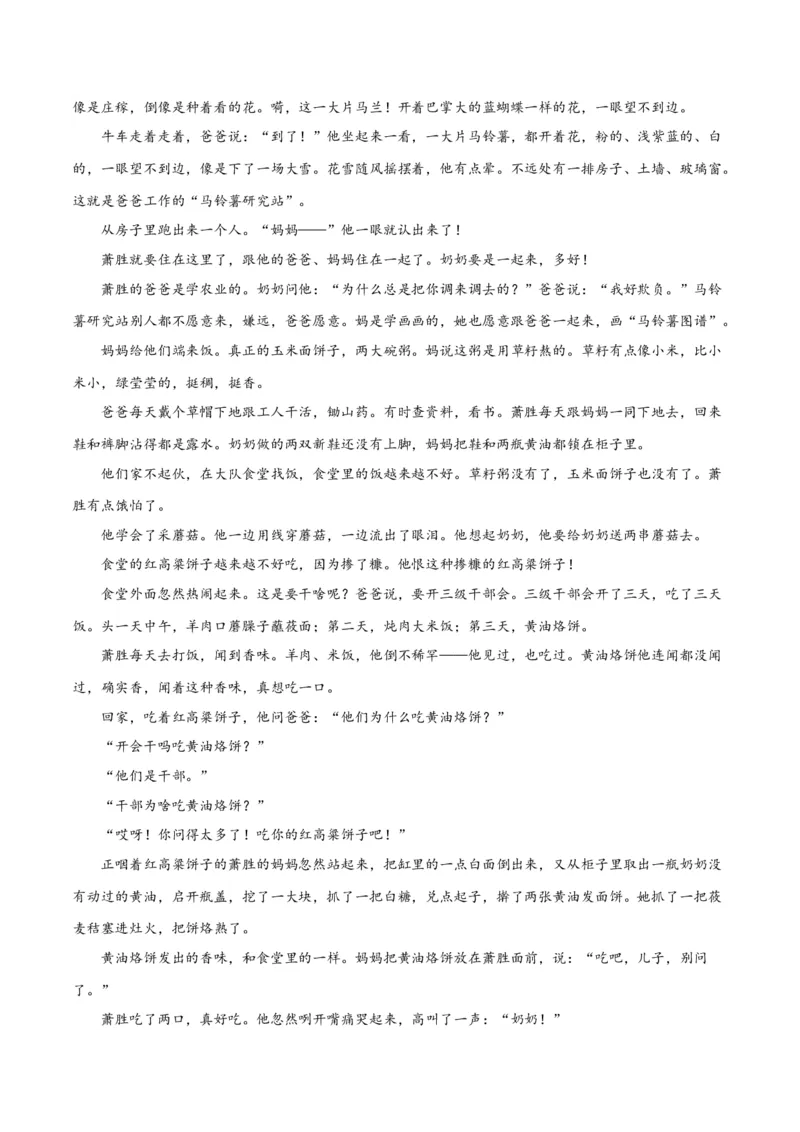 解密08文学类文本阅读小说之综合探究分析（分层训练）（原卷版）_01高考语文_4.22024年新高考资料_2.2024二轮复习