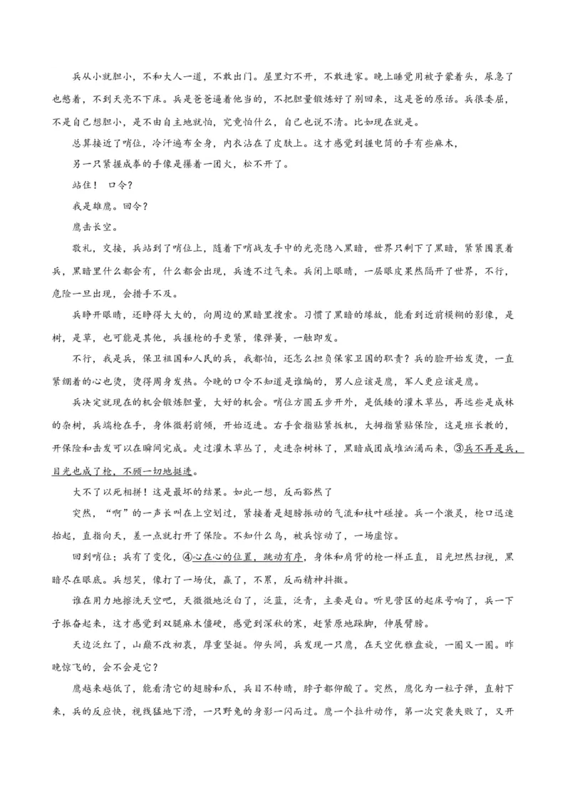 解密08文学类文本阅读小说之综合探究分析（分层训练）（原卷版）_01高考语文_4.22024年新高考资料_2.2024二轮复习