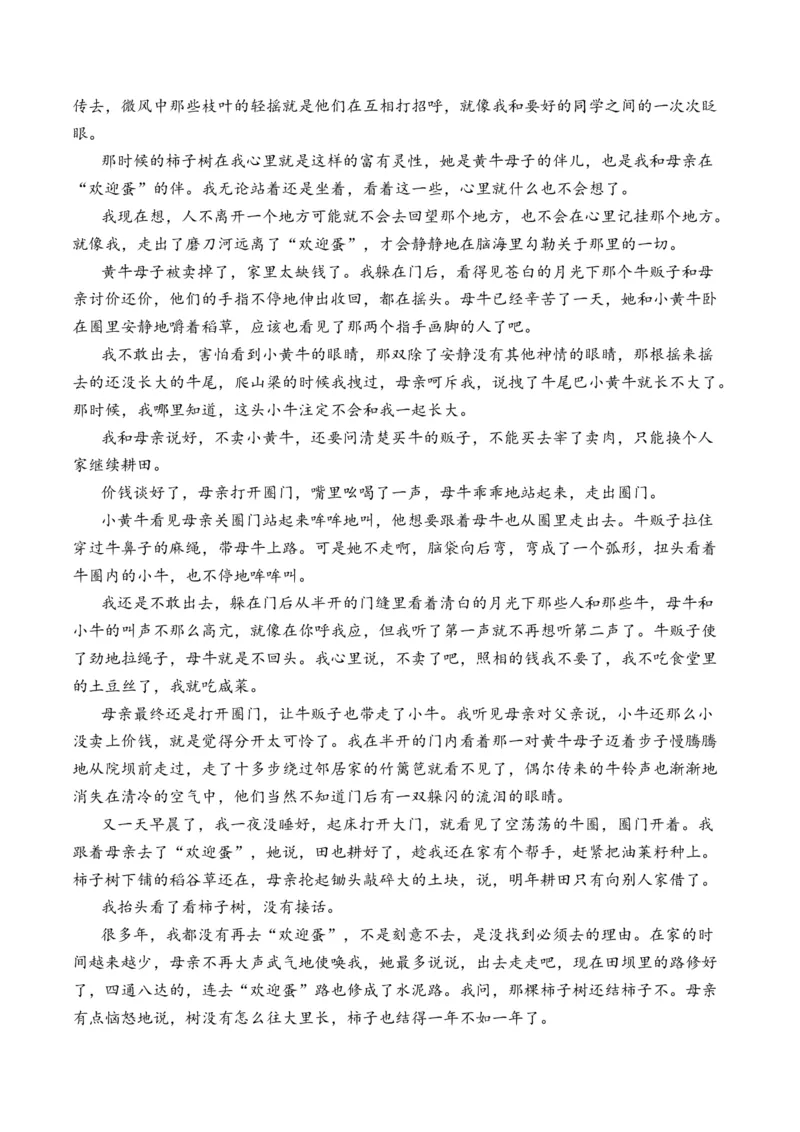 重难点03叙事类散文阅读（上海一模卷精选强化）-2024年高考语文热点&middot;重点&middot;难点专练（上海专用）（原卷版）_01高考语文_4.22024年新高考资料_3.2024专项复习