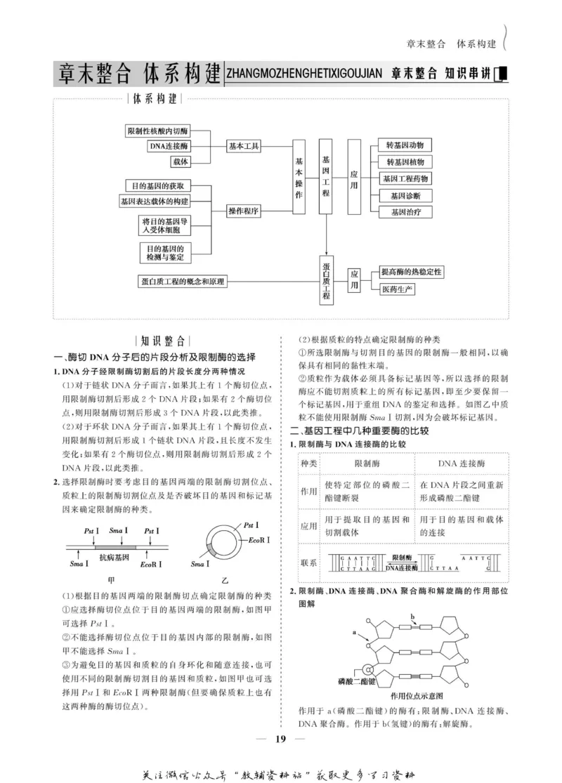 名师同步导学生物人教版选修3-现代生物科技专题_名师同步导学_高中生物
