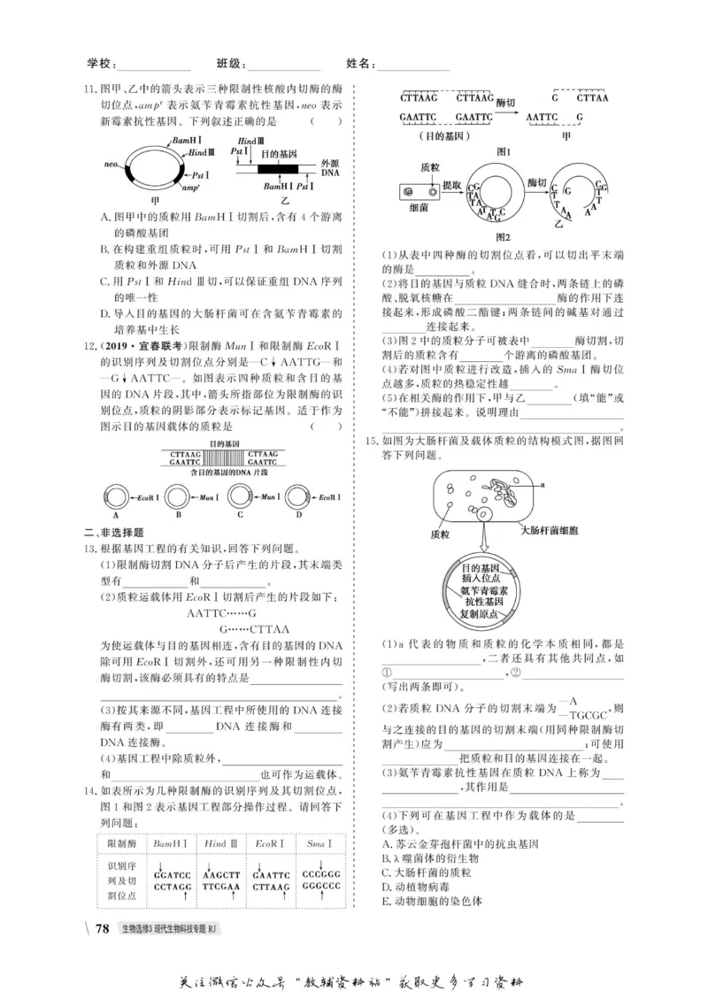 名师同步导学生物人教版选修3-现代生物科技专题_名师同步导学_高中生物