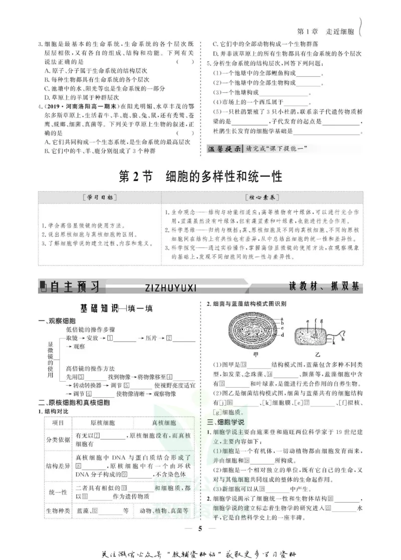 名师同步导学生物人教版必修1_名师同步导学_高中生物
