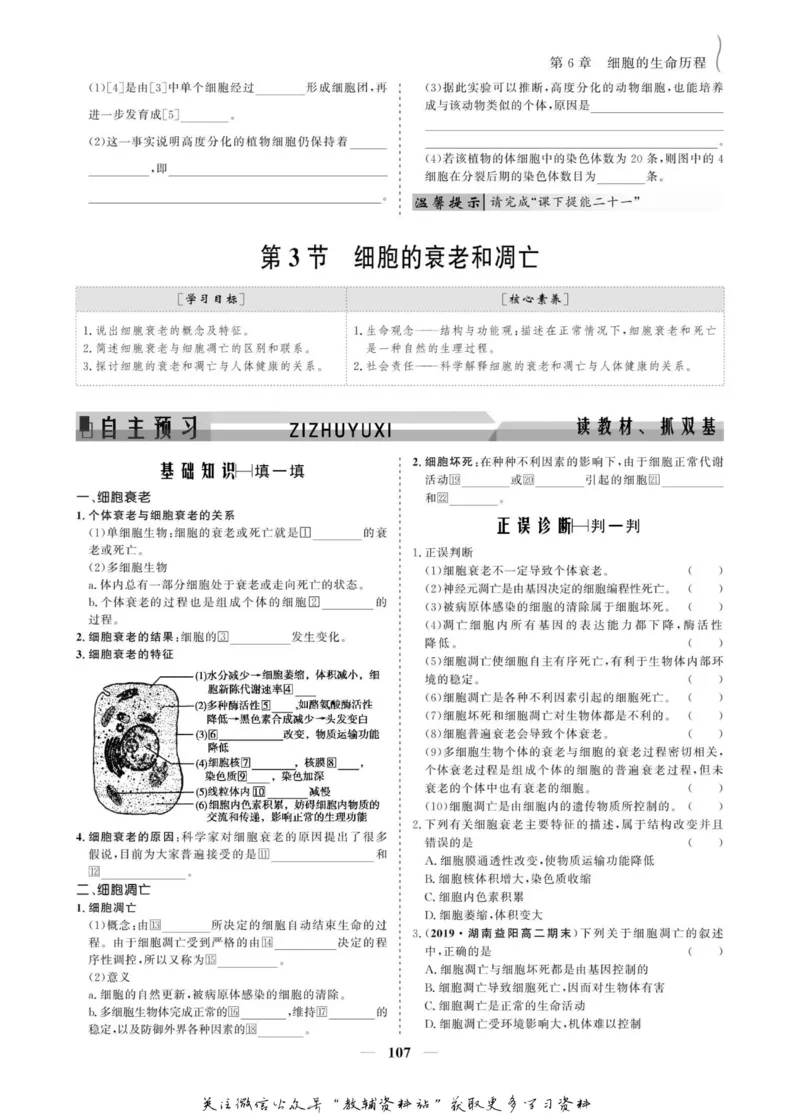 名师同步导学生物人教版必修1_名师同步导学_高中生物