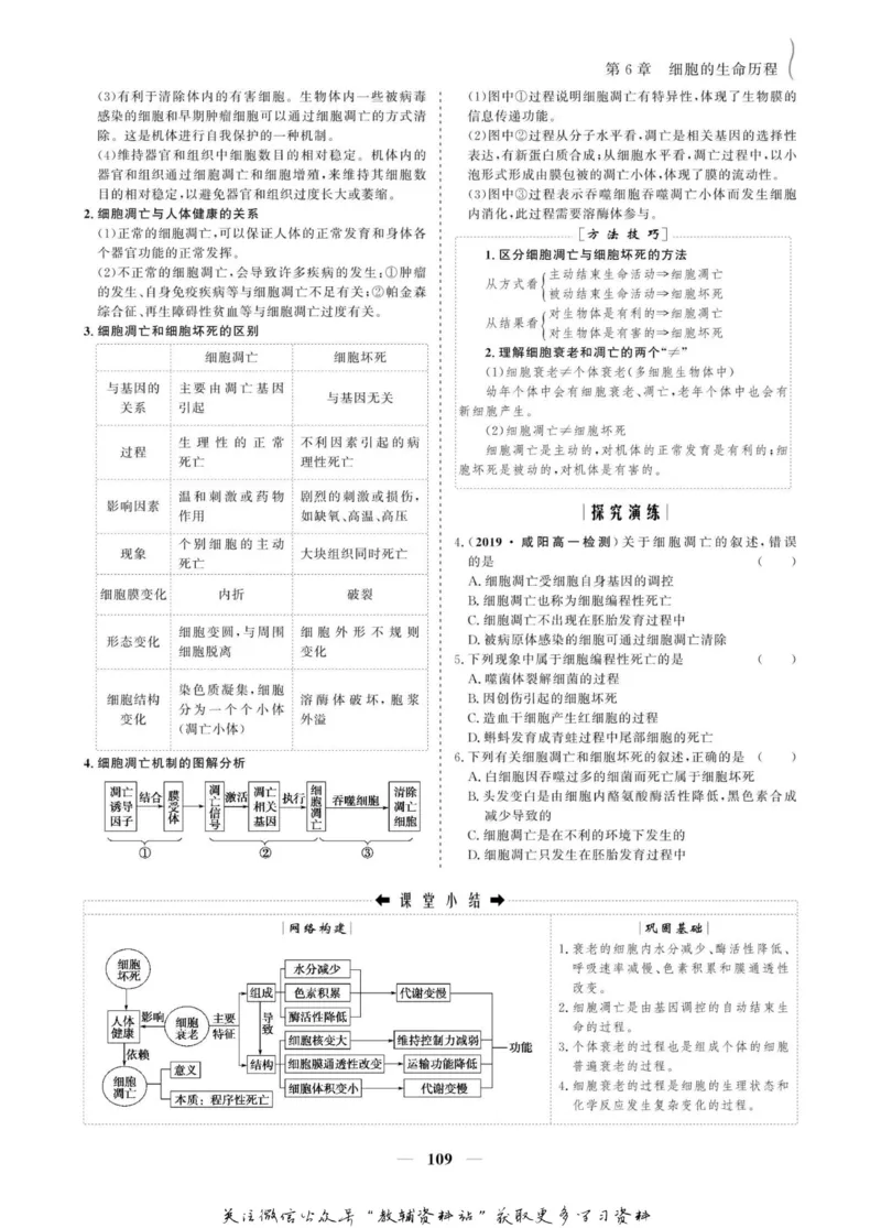 名师同步导学生物人教版必修1_名师同步导学_高中生物
