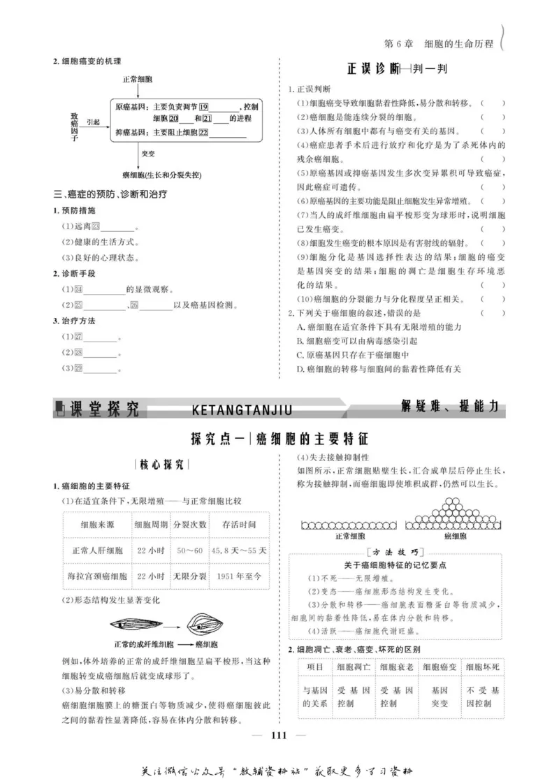 名师同步导学生物人教版必修1_名师同步导学_高中生物