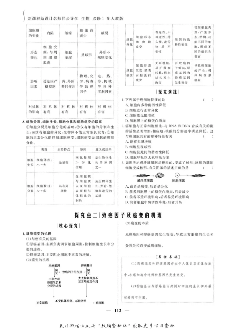 名师同步导学生物人教版必修1_名师同步导学_高中生物
