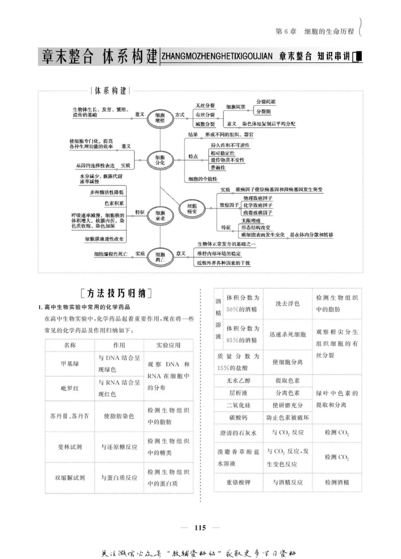 名师同步导学生物人教版必修1_名师同步导学_高中生物