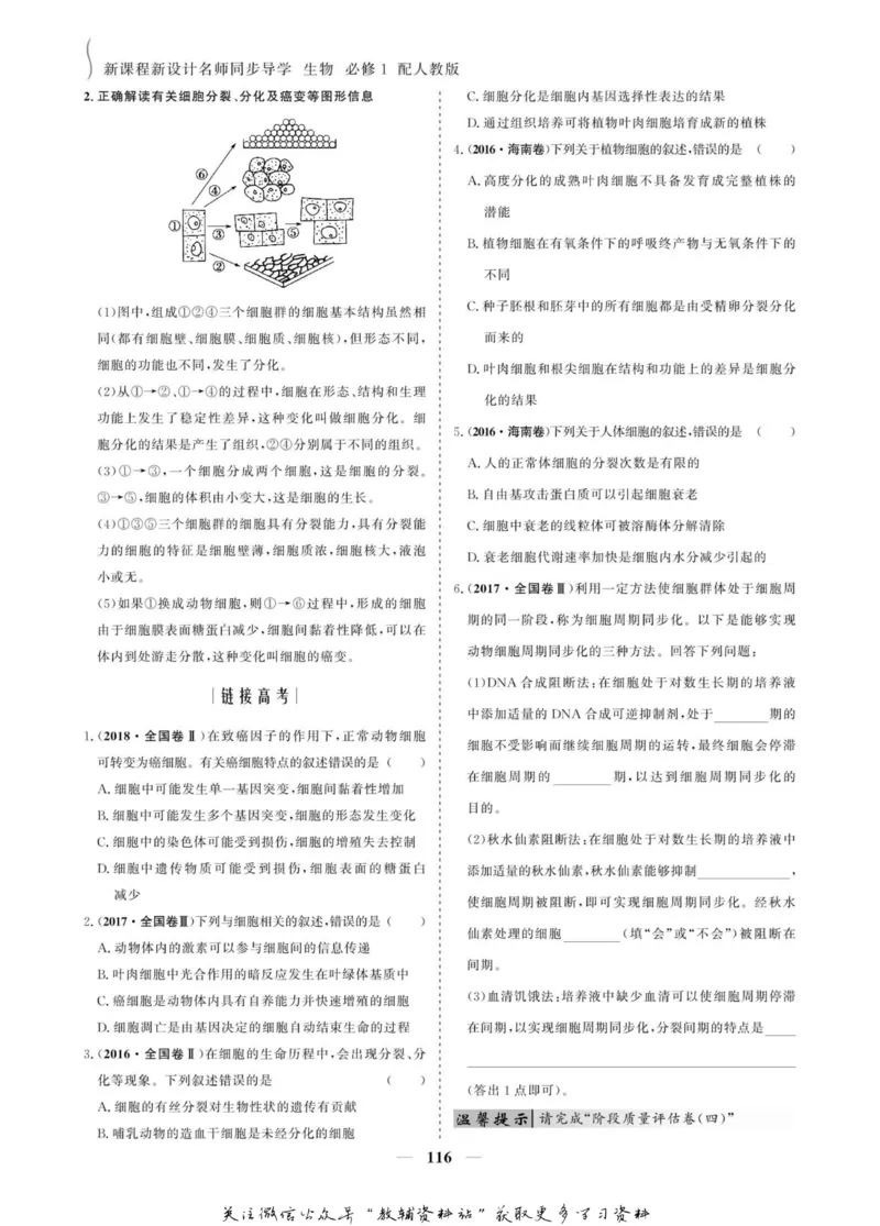 名师同步导学生物人教版必修1_名师同步导学_高中生物