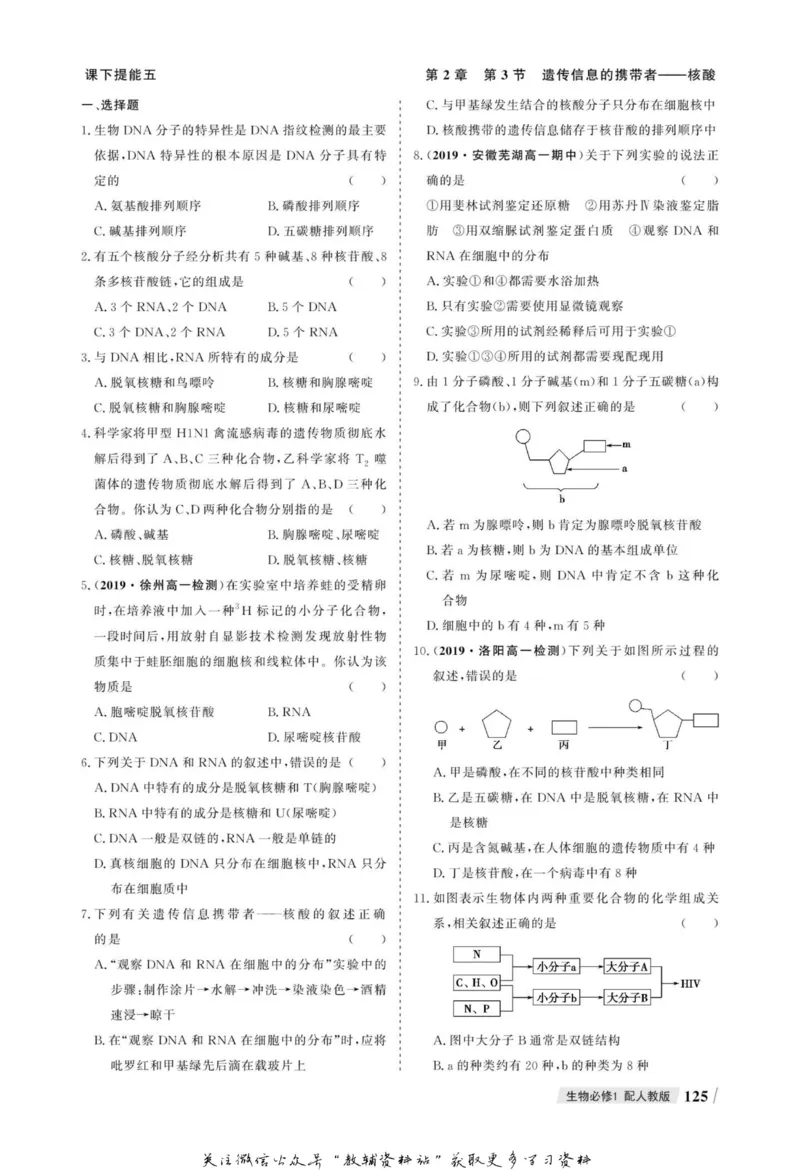 名师同步导学生物人教版必修1_名师同步导学_高中生物