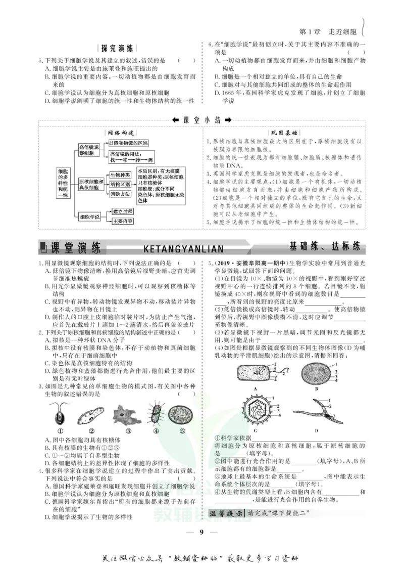 名师同步导学生物人教版必修1_名师同步导学_高中生物