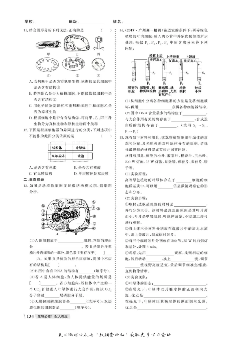 名师同步导学生物人教版必修1_名师同步导学_高中生物