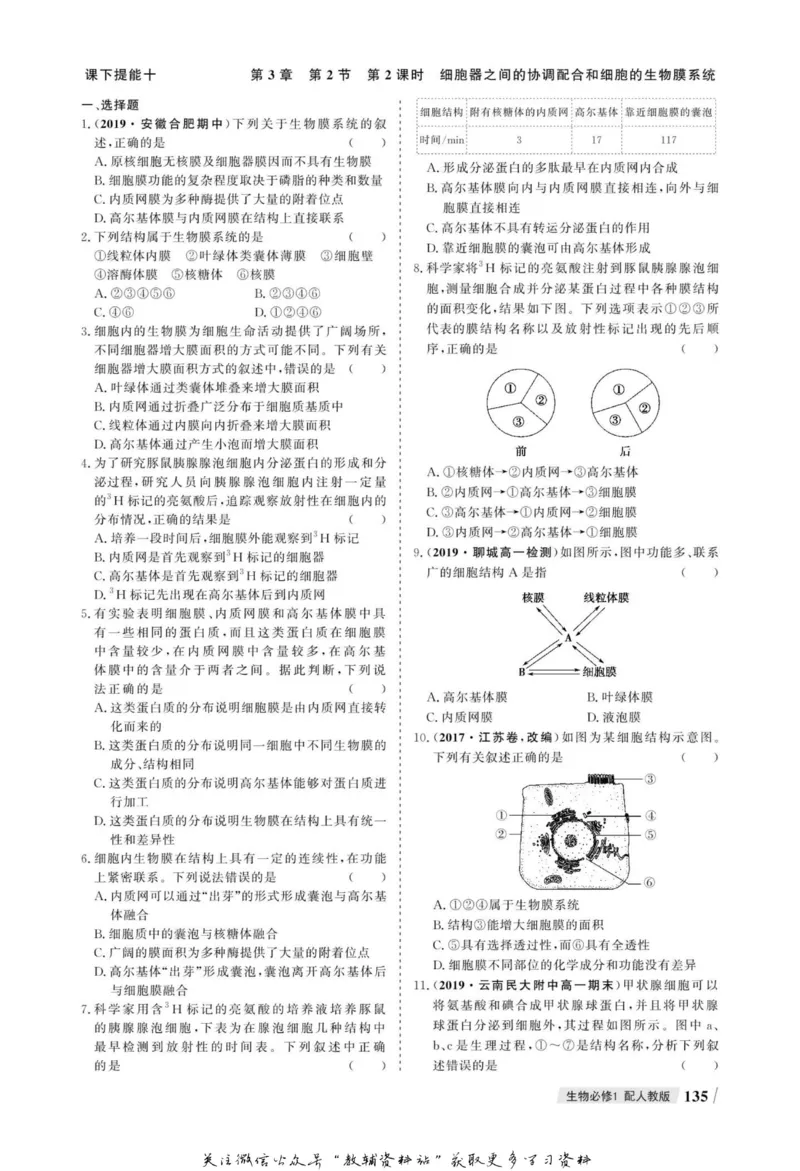 名师同步导学生物人教版必修1_名师同步导学_高中生物