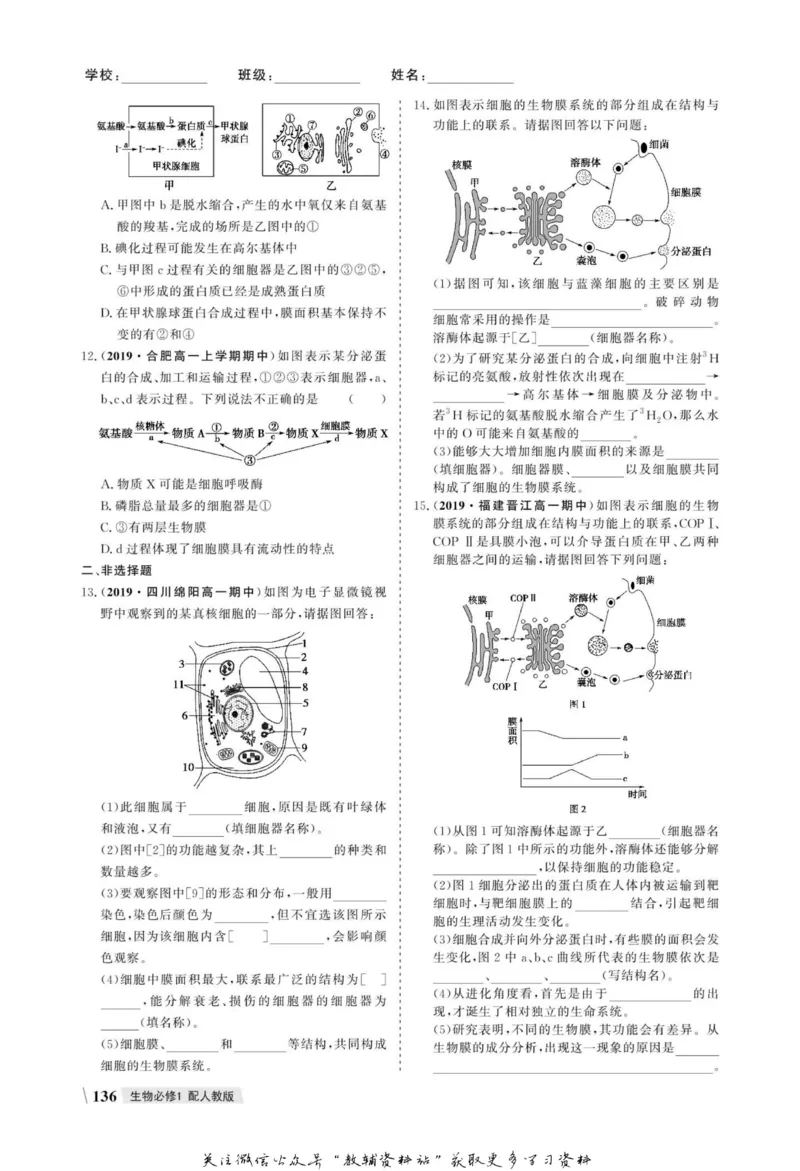 名师同步导学生物人教版必修1_名师同步导学_高中生物