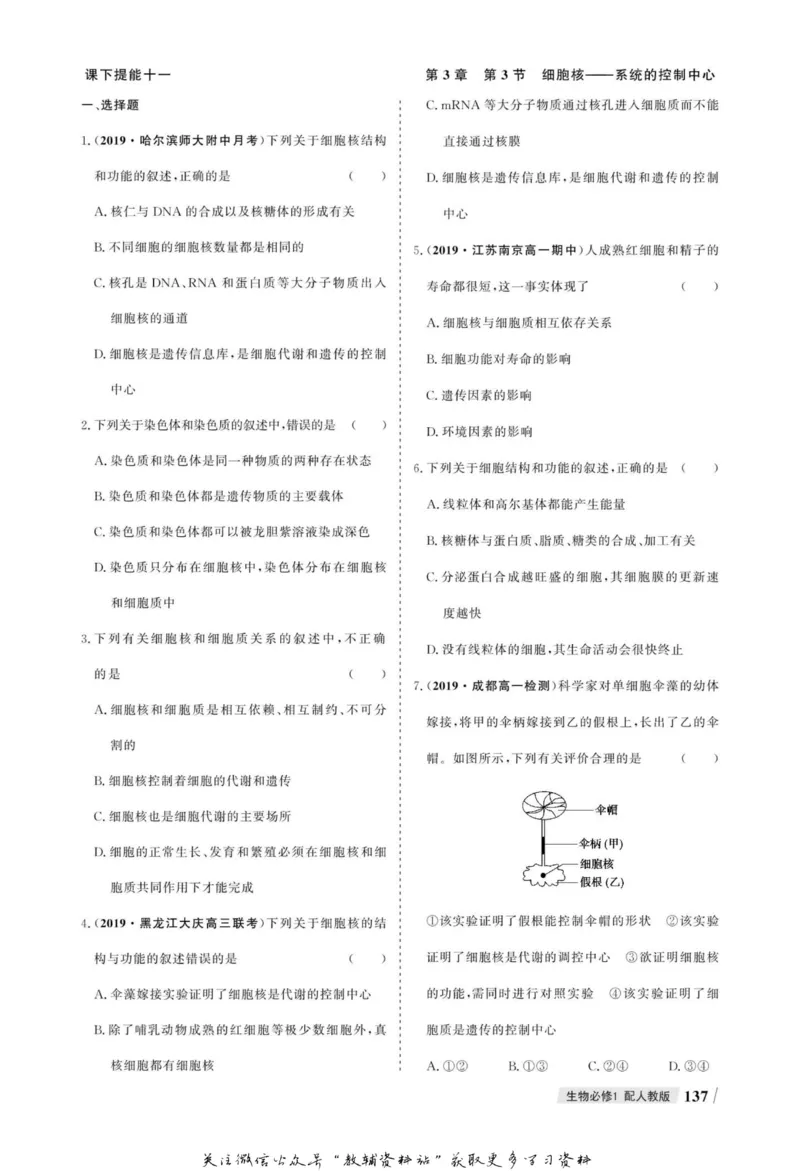 名师同步导学生物人教版必修1_名师同步导学_高中生物